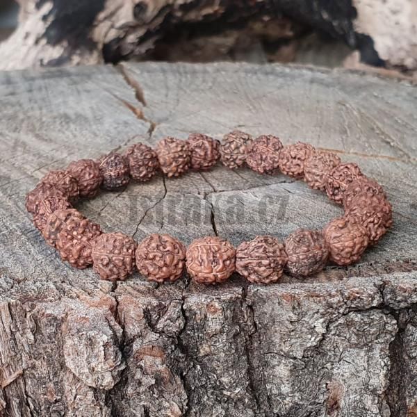 Rudraksha semnka 8-9mm nramek